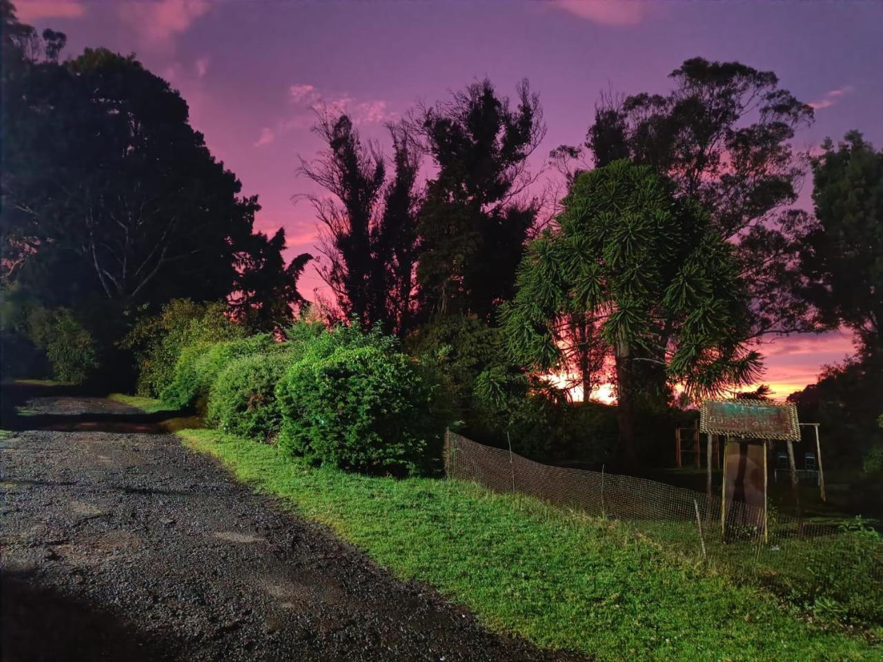 Natures Retreat Hotels And Resorts อูตี ภายนอก รูปภาพ